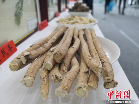 圖為在中國(guó)(甘肅)中醫(yī)藥產(chǎn)業(yè)博覽會(huì)上亮相的中藥材?！±顏嘄?攝